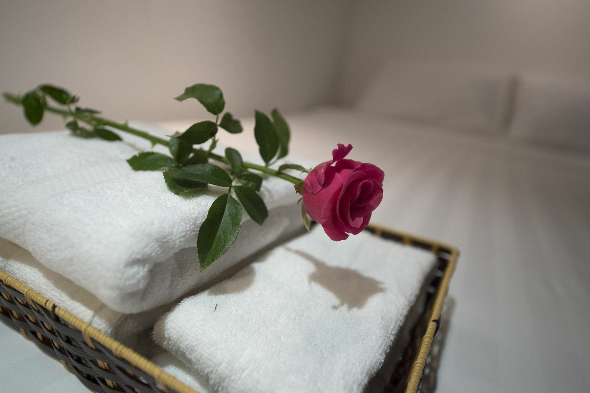 Harmony Homestay - Hanoi Homestay In Old Quarter מראה חיצוני תמונה