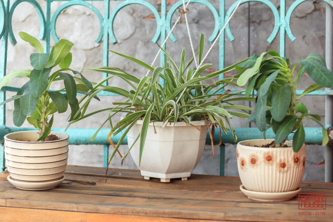 Harmony Homestay - Hanoi Homestay In Old Quarter מראה חיצוני תמונה